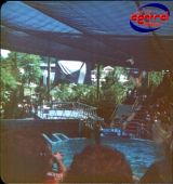 Filename : dolphinshow.jpg
Filesize : 109KB
Dimensions : 520x550
Date added : Dec 12, 2004 dolphinshow.jpg