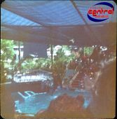 Filename : dolphinshow2.jpg
Filesize : 130KB
Dimensions : 520x527
Date added : Dec 12, 2004 dolphinshow2.jpg